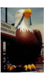 Eagle cold-air advertising balloon